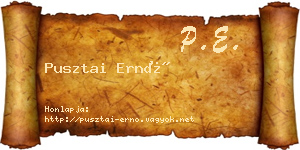 Pusztai Ernő névjegykártya
